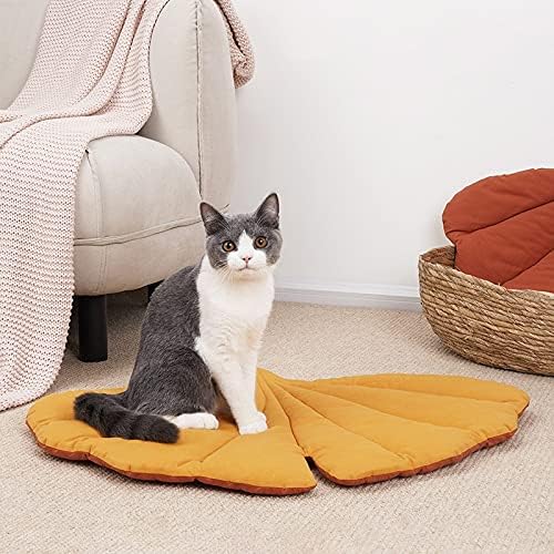 Snuggle Up! Transform Your Pet's Life with This Bed