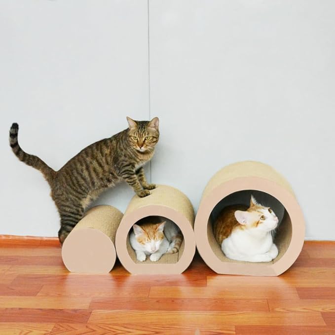Transform Your Cat’s Life with This 3-in-1 Wonder!