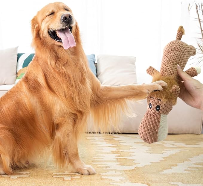 Playtime Perfection: 5 Interactive Toys for Chewers!